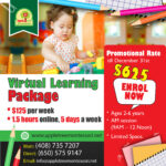 bizhubsl_flyer