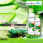 bizhuvsk_dreamron flyer